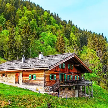 Premium Almhütte Family, Friends&biker Apartment