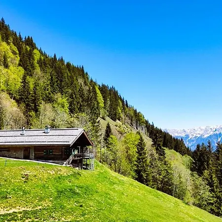 Premium Almhütte Family, Friends&biker Apartment Leogang